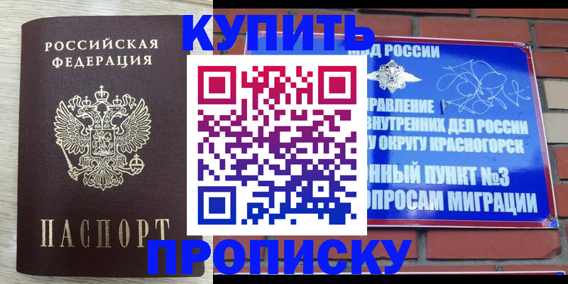 прописка гарантия в Ступино